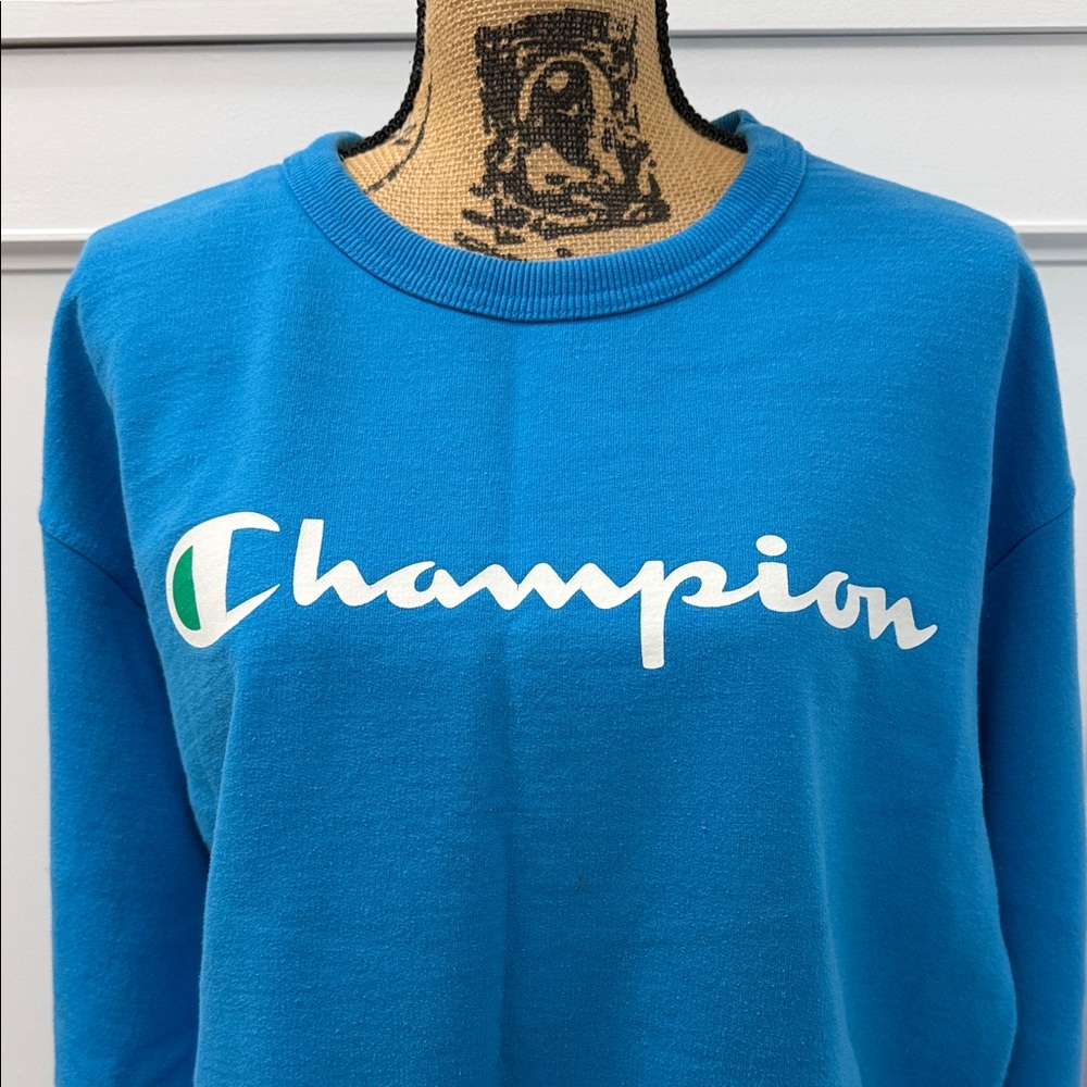 MENS Champion Sweatshirt NWOT